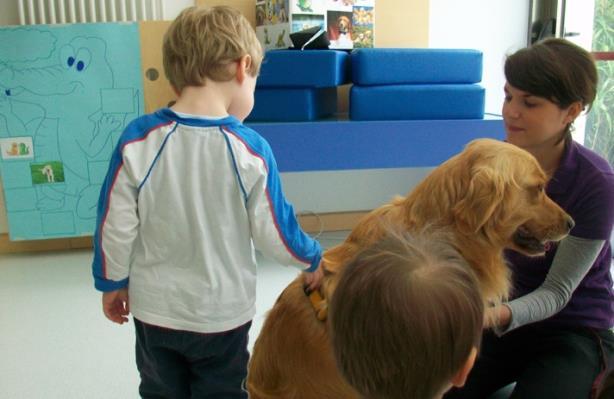 emozioni dalla testa ai piedi